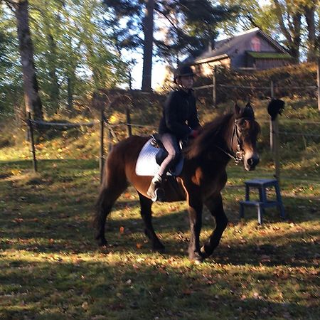 Henneviken Bnb Ed Esterno foto