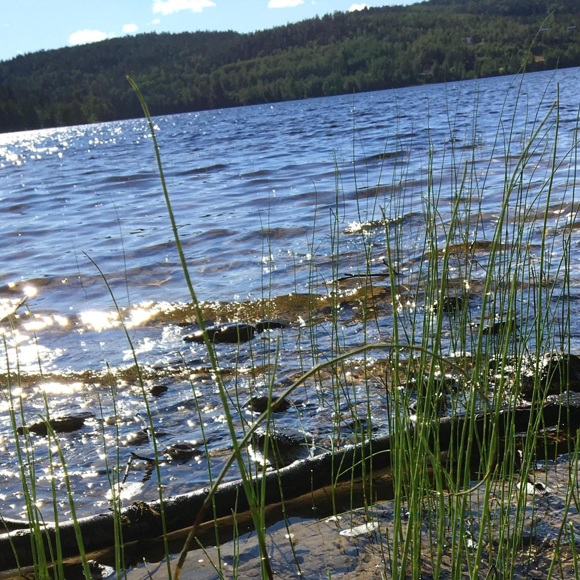 Henneviken Bnb Ed Esterno foto