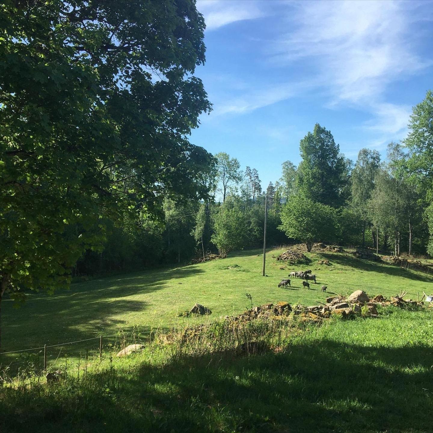 Henneviken Bnb Ed Esterno foto