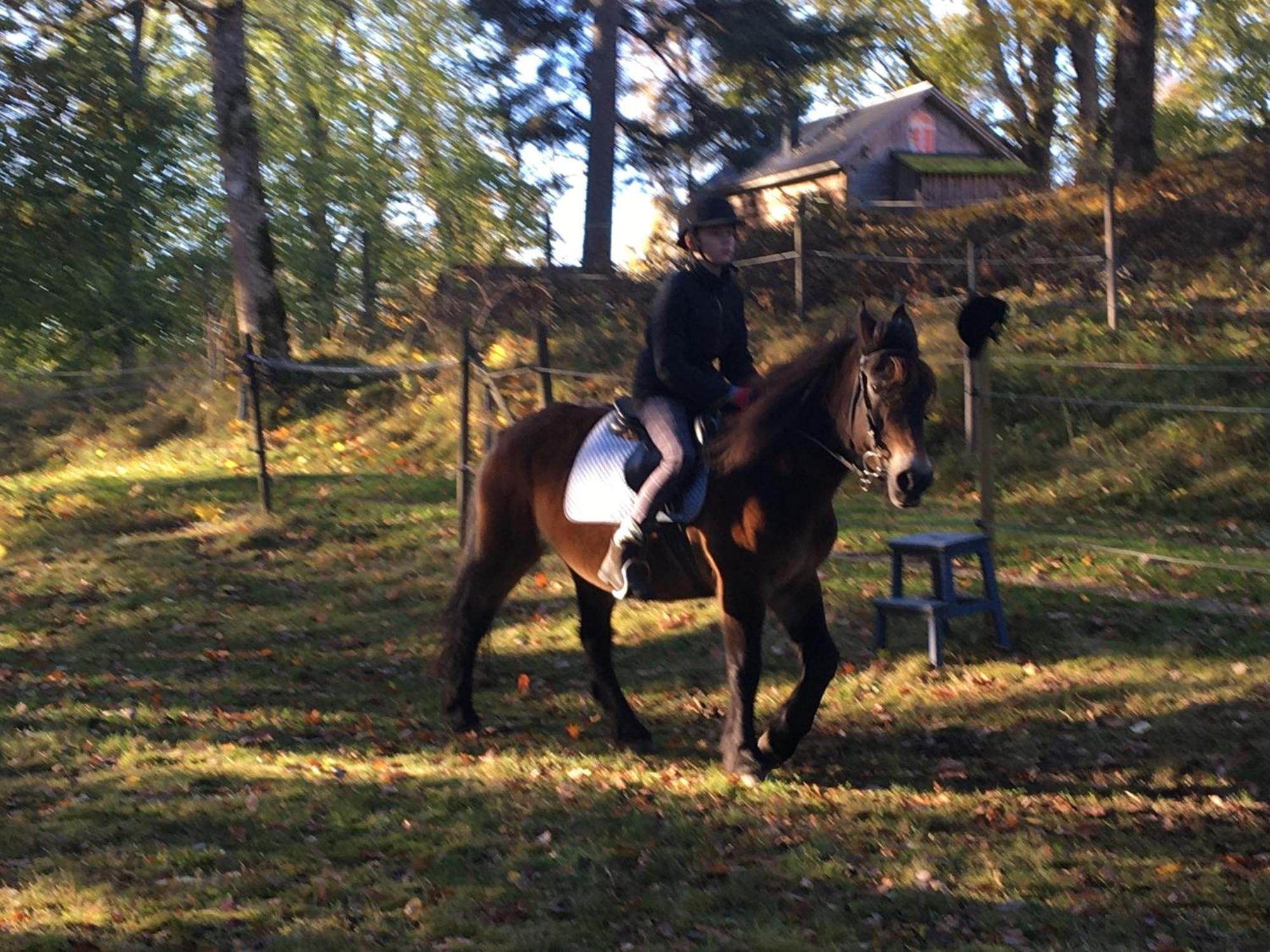 Henneviken Bnb Ed Esterno foto
